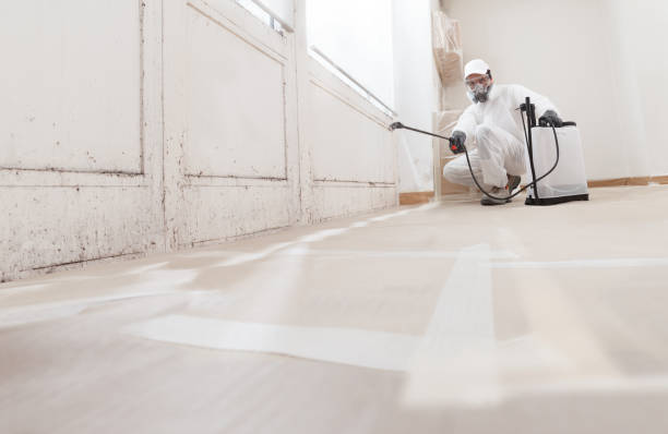 24/7 Emergency Crawl Space Mold Removal experts in Reston, VA